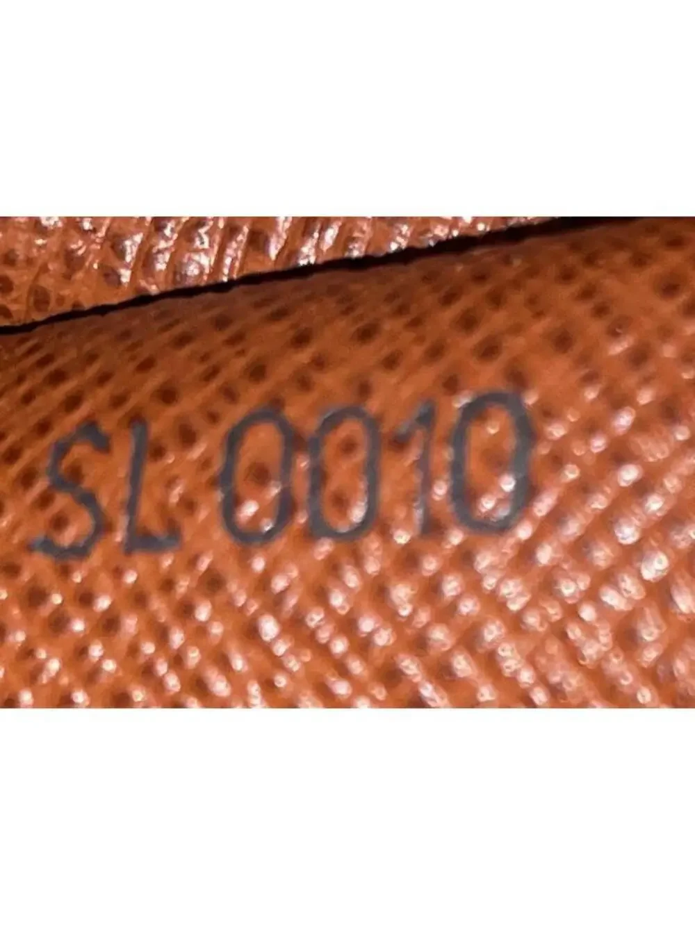 Louis Vuitton Danube Handbag Canvas #340884L88B